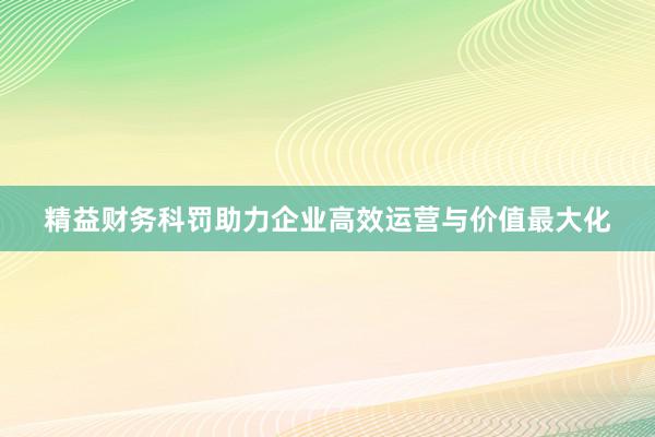 精益财务科罚助力企业高效运营与价值最大化